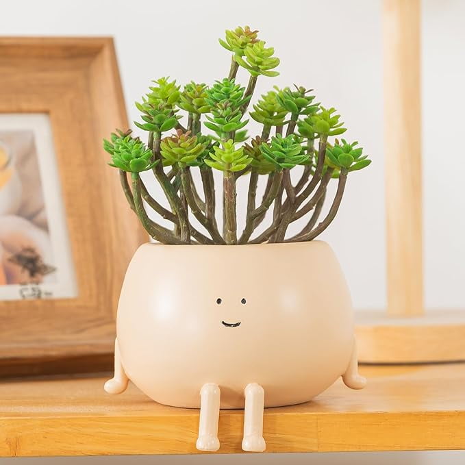 COTYNI Sitting Face Planters - 4.7 Inch Cute Resin Succulent Pots With Drainage Holes