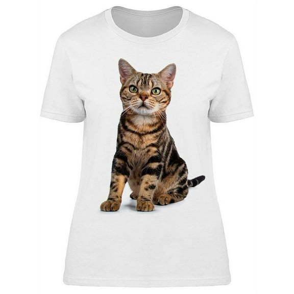 Sitting Shorthair Kitten T-Shirt Women -Image by Shutterstock, Female XX-Large