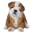 thumbnail image 1 of Sitting Sleepy Bulldog Puppy, 1 of 6