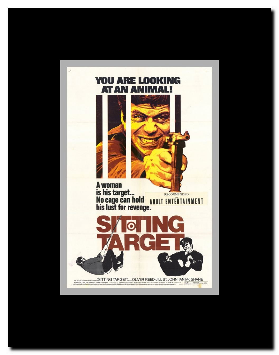 Sitting Target Framed Movie Poster