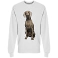 thumbnail image 1 of Sitting Weimaraner Sweatshirt Men -Image by Shutterstock, Male Large, 1 of 2