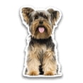 thumbnail image 1 of Sitting York Puppy Sticker -SPIdeals Designs, Vinyl Sticker, 1 of 3