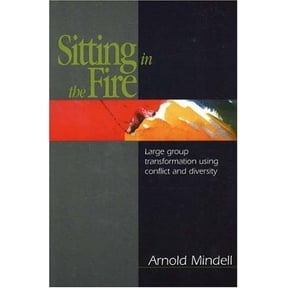 Pre-Owned Sitting in the Fire: Large Group Transformation Using Conflict and Diversity (Paperback) 1887078002 9781887078009
