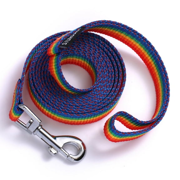 Siumouhoi 6 FT Puppy/Dog Leashes, Strong Traditional Style Leash with Easy to Use Collar Hook,Dog Lead Great for Small and Medium and Large Dog (5/8 in x 6 ft,Rainbow)
