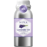 Siva Lavender Essential Oil   16 Fl Oz   100% Natural Lavender Oil - for Diffuser, Hair Care, Face, Skin Care, Aromatherapy, Scalp and Body Massage, Soap and Candle Making