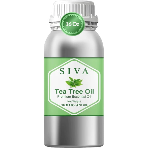 Siva Tea Tree Essential Oil - 16 Fl Oz Natural Tea Tree Oil - for Diffuser, Face, Skin Care, Aromatherapy, Hair Care, Scalp and Body Massage