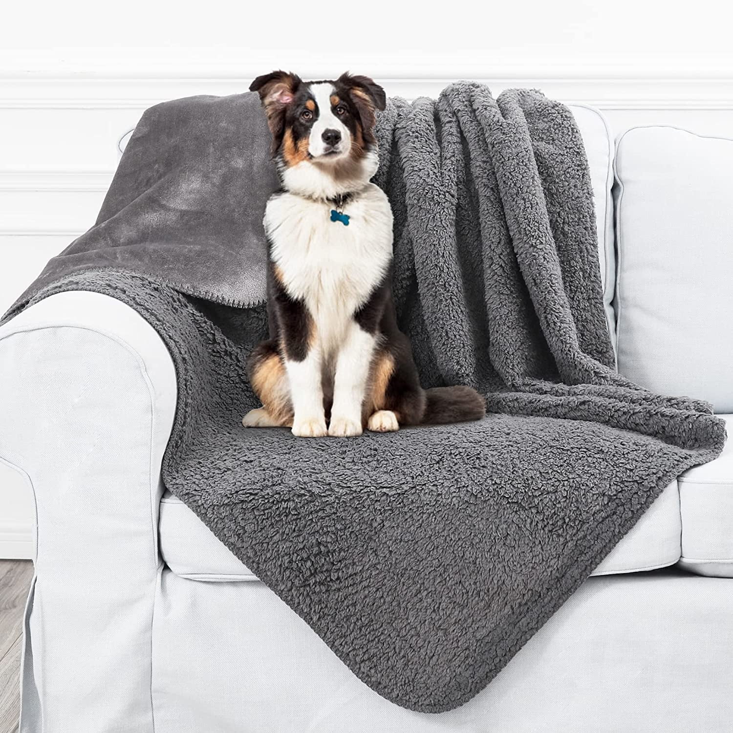 Chew Proof Blanket