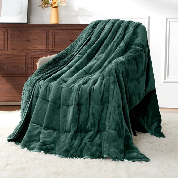 Sivio Queen Size 15lb Weighted Blanket for Adults, Sherpa Fleece Soft Cozy Heavy Blankets, for Bedroom Sleep and Living Room Sofa Lounging, 60"x80" Green