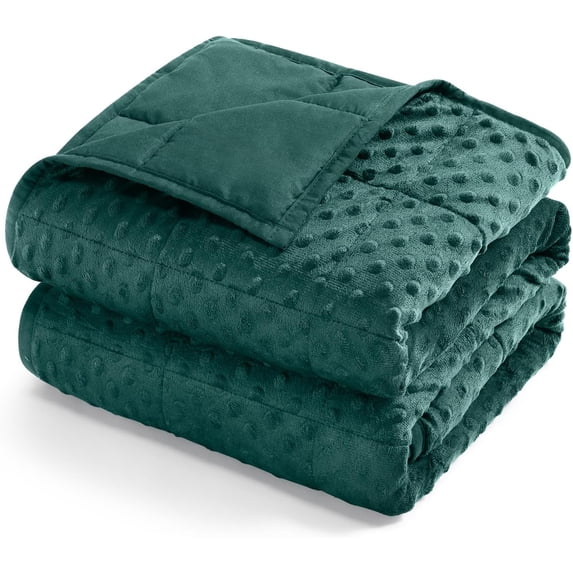 Sivio Weighted Blanket for Adults 60"x 80" 15lbs , Cooling Reversible Washable Soft Minky Heavy Blankets for Bed Sofa, for All Season, Queen Size Green