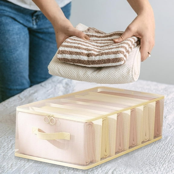 Six Compartment Storage Bag - Sorting Bag Divider Drawer Box Bag for Clothes down Comforter Home Organization, 12.6 x 7.9 x 4.7 in, (Beige), JASKFLY