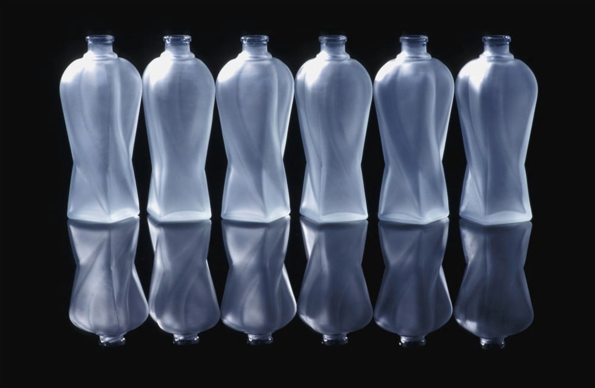 Six Glass Bottles Canvas Art - David Chapman  Design Pics (17 x 11)