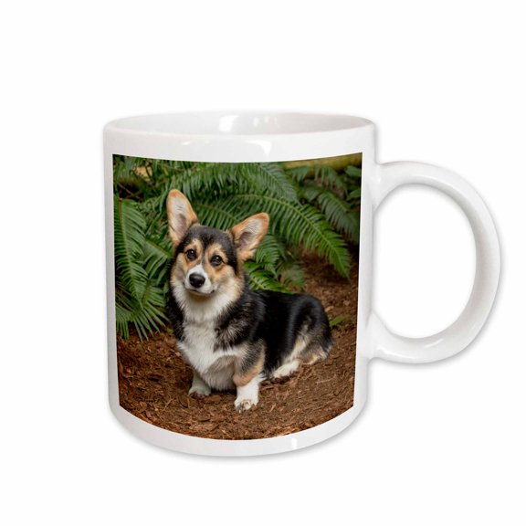 3drose, Six Month Old Corgi Puppy Posing in Front of Western Swordfern. Pr, 11oz Mug