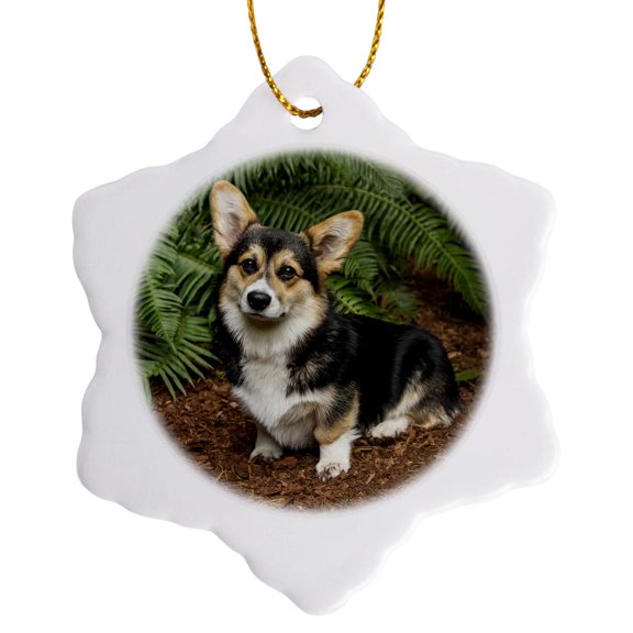 3drose, Six Month Old Corgi Puppy Posing in Front of Western Swordfern. Pr, 3 inch Snowflake Porcelain Ornament