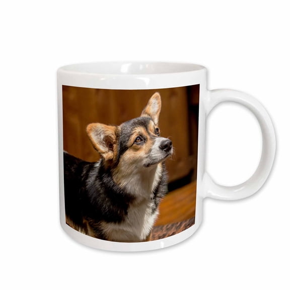 3drose, Six Month Old Corgi Puppy Posing on a Lawn Chair., 11oz Mug
