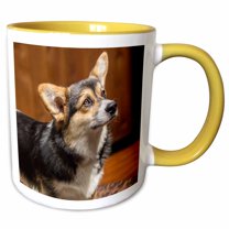 3drose, Six Month Old Corgi Puppy Posing on a Lawn Chair., 11oz Two-tone Yellow Mug