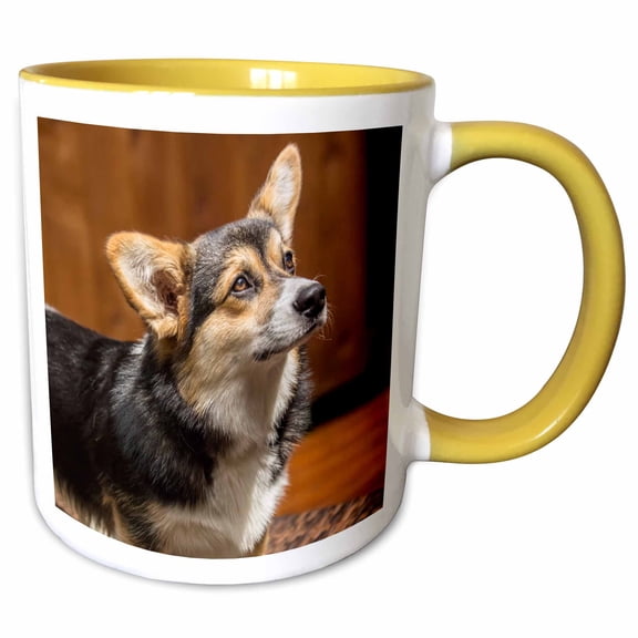 3drose, Six Month Old Corgi Puppy Posing on a Lawn Chair., 11oz Two-tone Yellow Mug
