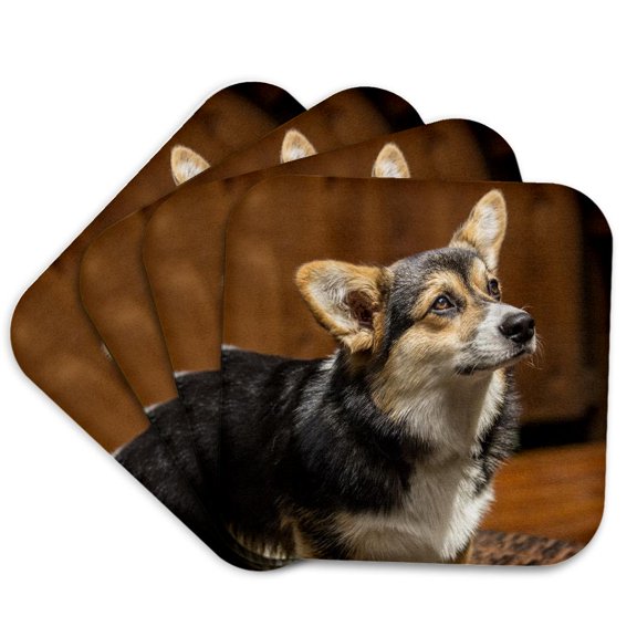 3drose, Six Month Old Corgi Puppy Posing on a Lawn Chair., Set of 4 Coasters - Soft