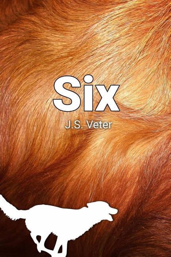 Six, (Paperback)