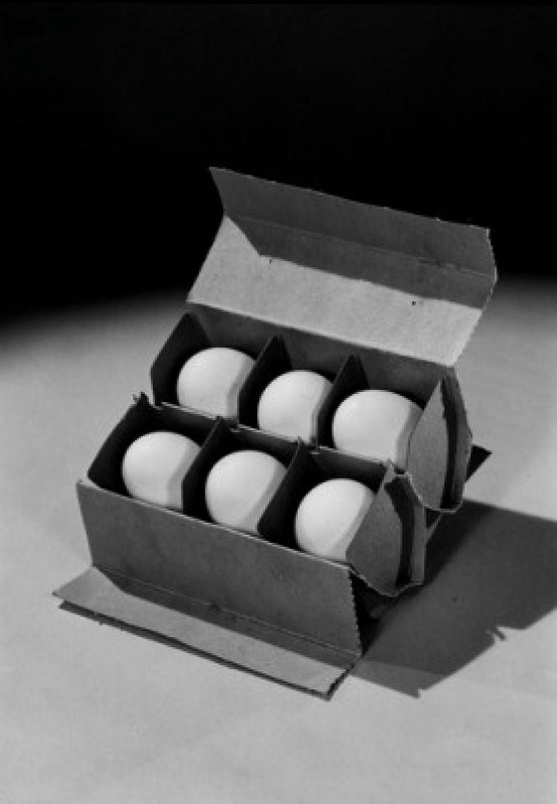 Six eggs in egg carton Canvas Art - (18 x 24)