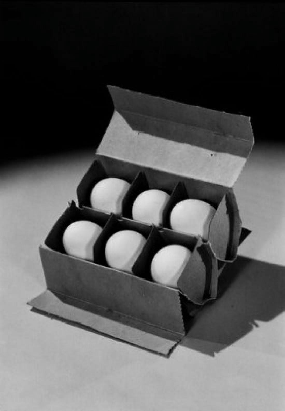 Six eggs in egg carton Canvas Art - (24 x 36)