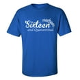 thumbnail image 1 of Sixteen And Quarantined Unisex Fit Short Sleeve T-shirt-Royal-small, 1 of 4