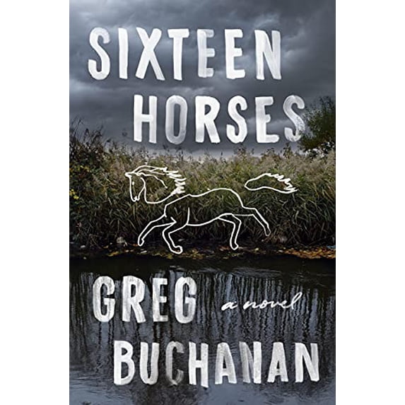Pre-Owned Sixteen Horses (Hardcover) 1250246660 9781250246660