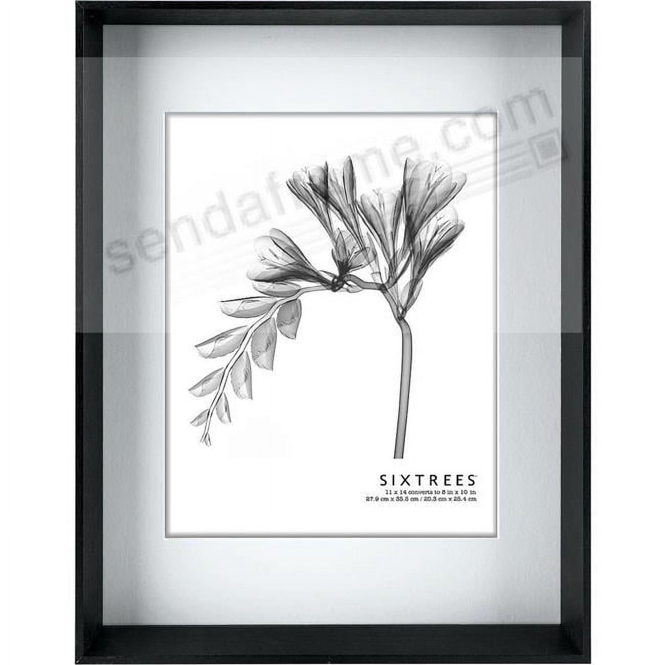 Sixtrees WD2081480 11 x 14 in. Noah Frame, Black