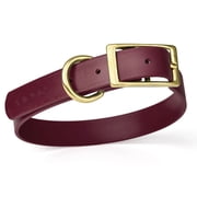 Size L 18 to 22 inches Viper Biothane Waterproof Collar - Brass Hardware