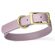 Size L 18 to 22 inches Viper Biothane Waterproof Collar - Brass Hardware