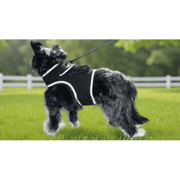 Size L GPS Pet Harness for Dogs and Cats, Breathable , Real-Time Tracking, iOS and Android App Compatible