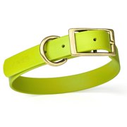 Size S 12 to 15 inches-Viper Biothane Waterproof Collar - Brass Hardware