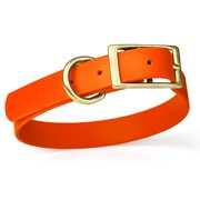 Size XS 9 to 12 inches-Viper Biothane Waterproof Collar - Brass Hardware
