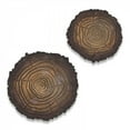 thumbnail image 1 of Sizzix Bigz Die w/Texture Fades Embossing Folder Tree Rings Mini by Tim Holtz, 1 of 2