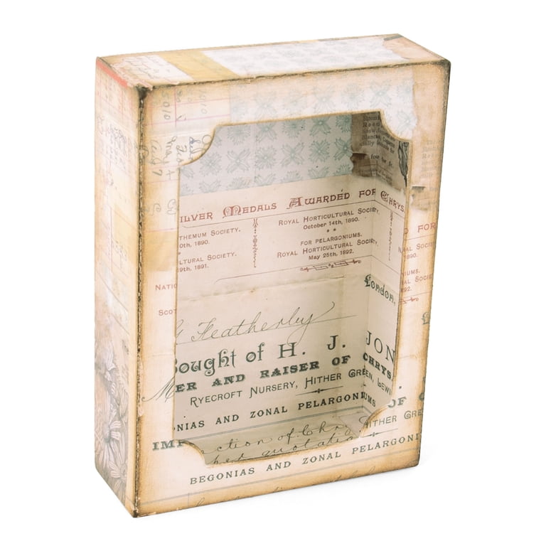 Sizzix Bigz XL Die w/Framelits - Curio Box by Tim Holtz - Walmart.com