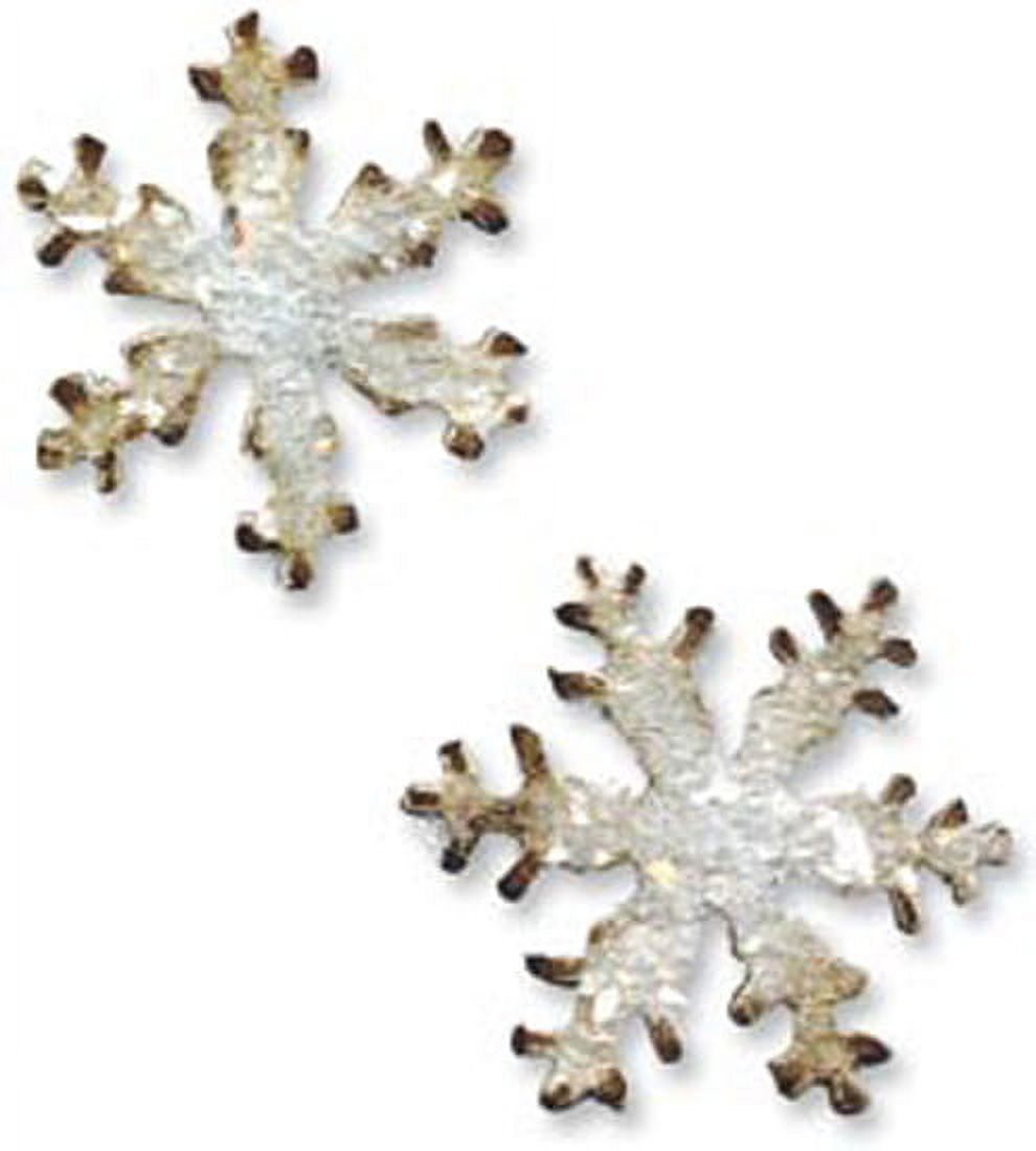 Sizzix Movers & Shapers Magnetic Die 2/Pkg By Tim Holtz-Bird & Cage