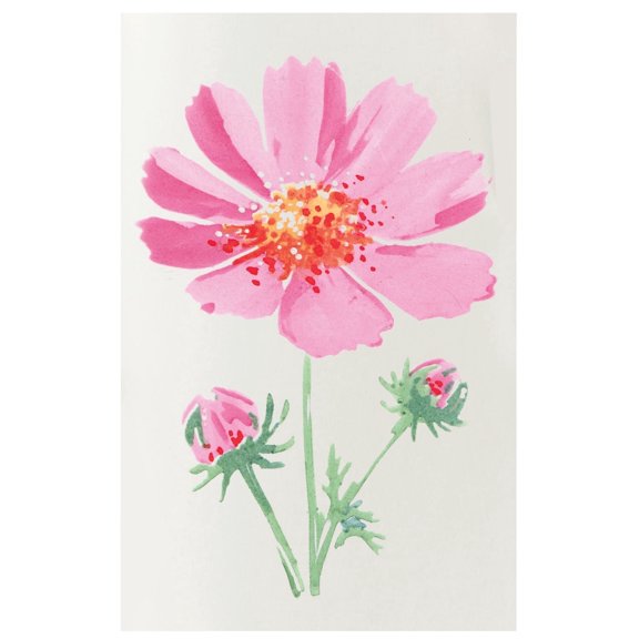 Sizzix Studio Layered Stencils, Cosmo by Willow Wolfe, 4 Watercolor Art Stencils