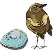 Sizzix Thinlits Dies By Tim Holtz - Bird & Egg Colorize, 11PK