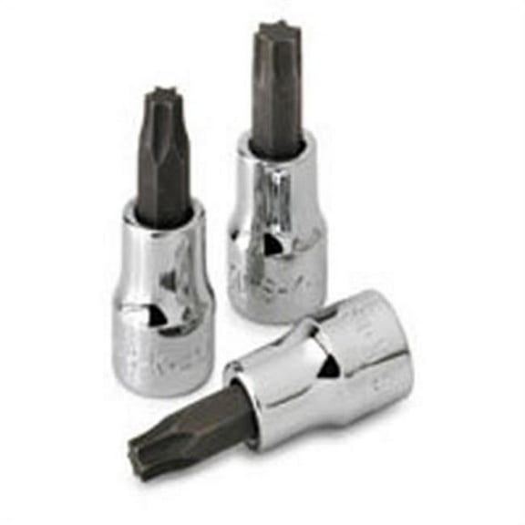 Sk Professional Tools Socket Bit, Steel, 1/4 in, TpSz T20 42520