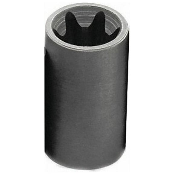 Sk Professional Tools Socket, Steel, Chrome, E22 42622