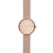 Skagen Ladies' Signatur Steel-Mesh Watch SKW2618
