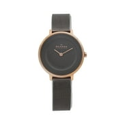 Skagen Ditte 30mm Steel Quartz Ladies Watch SKW2277