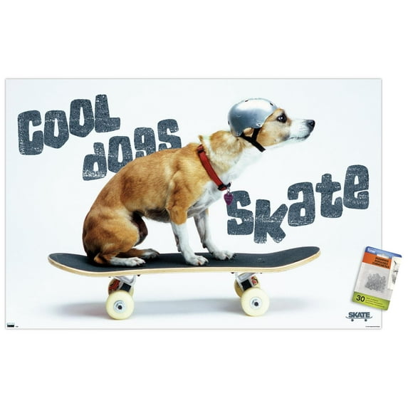 Skateboarding - Dog Wall Poster with Pushpins, 22.375" x 34"