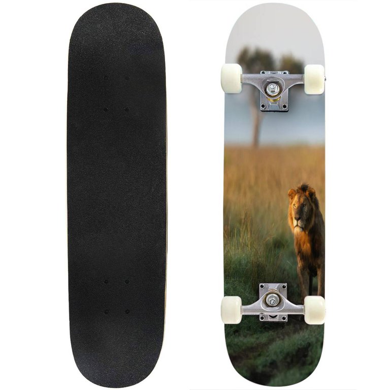 Skateboards Big Male Lion Looking Maple Double Kick Standard