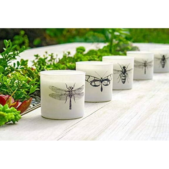 Skeem Citronella Sea Salt Votive Scented Candles - Set of 3 White Votive Candles - 50 Hour Burn Time - Made in The USA