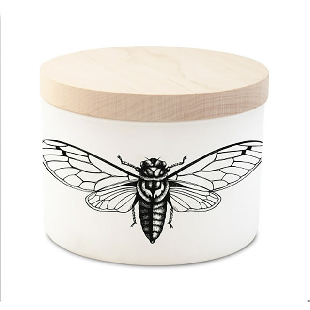 Skeem Designs CT5 Night Jasmine Citronella 3 Wick Candle
