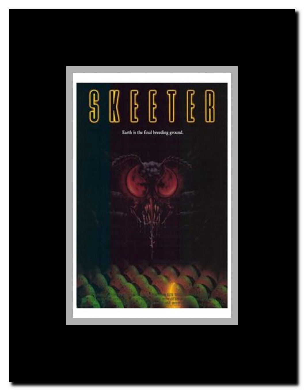 Skeeter Framed Movie Poster