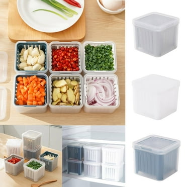 Skegnu Ginger And Garlic Storage Box Refrigerator Multi-compartment Double-packed Frozens Draining Water Preparation Box Fruit Garlic Minced Fresh-keeping Box Food Storage Containers With Lids