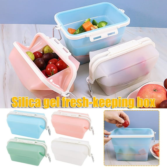 Skegnu Storage Box, Portable Foldable Jewelry Storage Box, Microwave Heating Storage Bag Food Storage Containers With Lids on Clearance Under $10