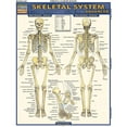 thumbnail image 1 of Skeletal System - Advanced Quickstudy Easel, 1 of 1