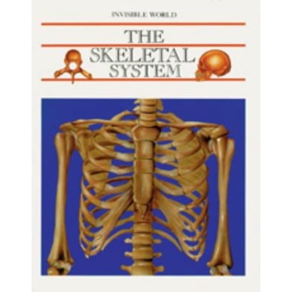 Pre-Owned The Skeletal System (Invisible World) (Unknown) 0791031519 9780791031513